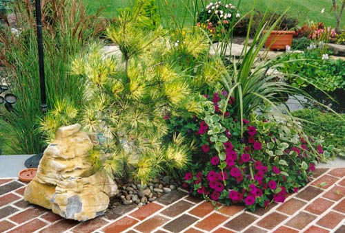 unique plants long island by anchor landscape custom landscape design masonry