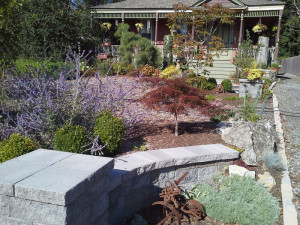 Massapequa Landscape design and development