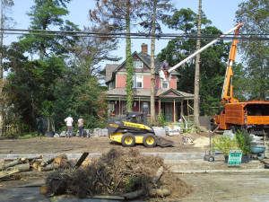 Tree Removal by Anchor Landscape