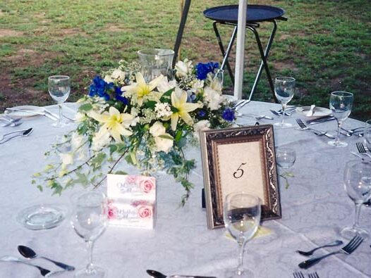 1dL3Gz9aj1hrPp6pmrwtcx67jFdfT2zC3qyzpwAmH8nYe1BF8WssDmrnZ53cR5dhT