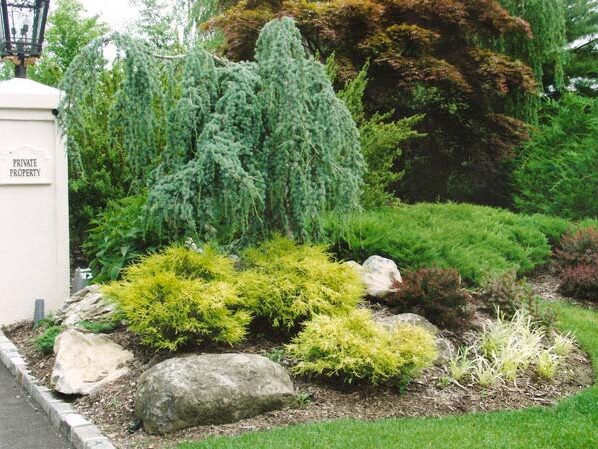 63pmWns9bZFxkn8w1BQ55nsM4Mt3qH2mDGysrD2RQYGwxFga9gd2A8BD8CfffDQmw