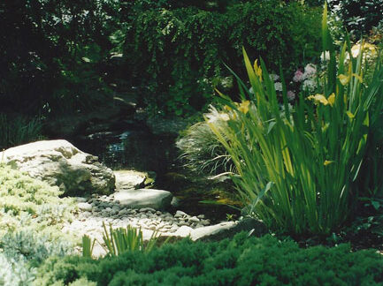 9xzwd3cCr9pdaEhC4cjXKmscwH1DaX9bwtgjMXOwLRApamqD2yHjD8QF1WPTKs6a2