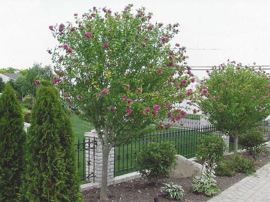 BY6t5P9qbaZSwxYfDjX7EKMjQngRrgfMDCzXOrkEDz3xAPyYahp2EdzFnkLQ9rb1F