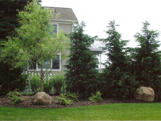 BcRLangzwQ2Z5PDcP7NRdnr3pgZ8TPXKXsdz5XZBj3cNOgAcQx38NDN3StThRNp6R