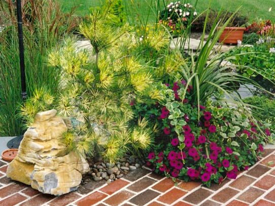 CAYE338Bza7hL915FpsH1Z5nSYB4S2YLZWjSe7QMfgXFGrZ1C7YybdRREknOHRfSY