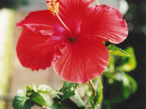 CKmQAH6qcA6kB4k5zTSCTzmxAfqN2b58HB8mL3GAC6OP8qZLTnPsNtKMQ4TGmteY6