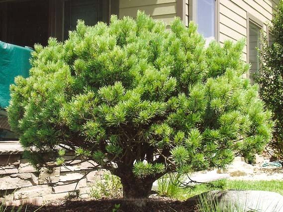 Cd8BC368WZEZxqPfOsr5YdbZsCYZNeRyhYOC6Ogr4sqbcPwE5TD5F9NhaKE41TZje