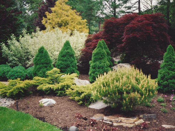 KxrFONmBxdednbEtFWHHYxtMrB6CnCdr2KDYkPxHamp31xgY3FQxc36pEMT6RNXG4