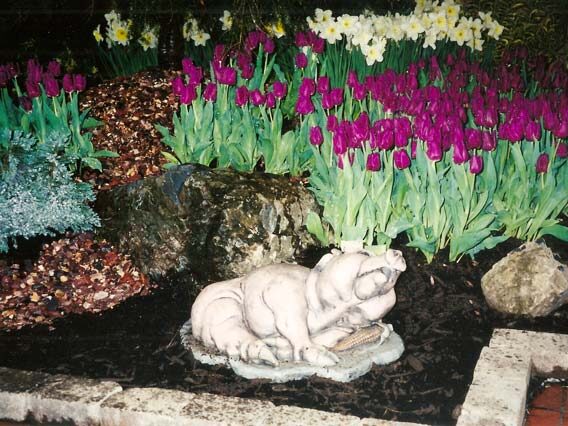 MBBkyRZWnPOWftfKadtfhHLcdbbfhhnjTaCQXhQs3YyhyDCKPsExt9ywBsRZnGbXw