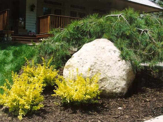 NTHK9FX9APaL7Sk4zMat6SjYROd8zPByeThBgt5AjNxm155kChWDSTy4xqWfFAObp