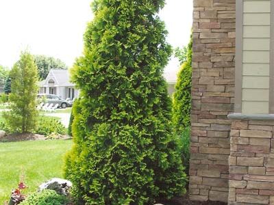 RQWxChOSrx587Djyhy4hcb49FSe8a47GwXeXF1YKsNNXrTz816FBxn258mWWN7wPK