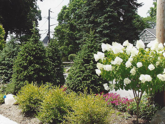 RnnqXk71N4XhZ9jmGQecX8sswy7ZZSC8ctXffb9yzmby3w6DKaMhMDG5RBjgMHSBk