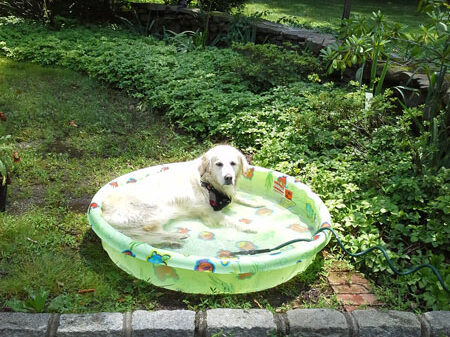 RxOy17HdjCfHPTfyOj2dRp89gepe9rgtMhF74771SQM6BGTrxrHSSAOtfTaNwMGZb