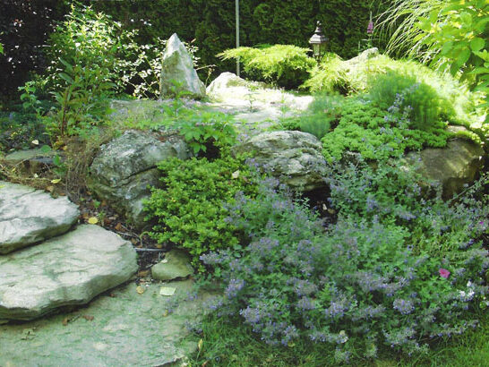 SG6b1TGexnnPzh3Qa3rfW1PCd5FeOrXxfMsWfHOWYR5zc2ATZYzDjWHrs4KYMcFbe