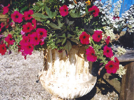 eeHErKZbaFAgMQnRdWenCKqAsS74BCPXfFk1m95FCbRg4zLN7ar9b76pcpNBQEyWB