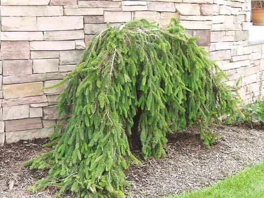 mzR4LYORAh4Rz9PDpsRFAeOmCmnBrms3Be625ZmNPnpGegyns9mjs7KcGsGAE4W8T