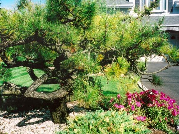 nw98CXFyXLw2h2b65anepDgkdzXADH2amYsz9zX7HPT8KtYSbkzbnCypKyKaHg7Fb