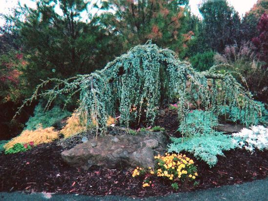 zFywOhnBdHegOzFRSLGm4gr2OmaswyjG5hkNNGjxxRxEN3wc6135wTcYzAAxLeAQw